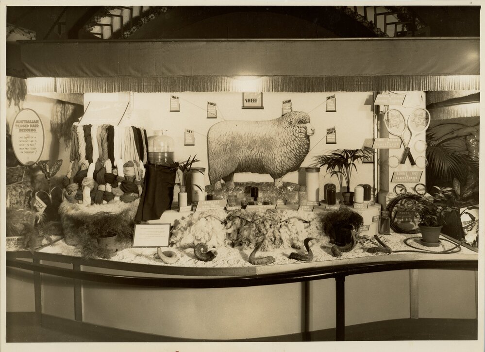 Display of Sheep Products at the Show, c.1930