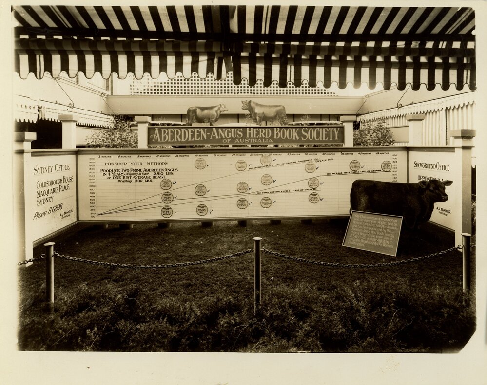 Aberdeen-Angus Herd Book Display, c.1930