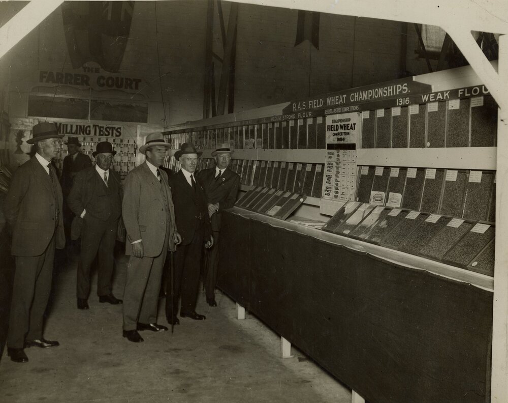 Wheat Championship, 1928-29