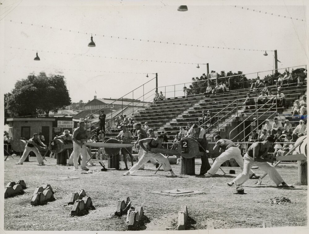 Double Handed Sawing Competition, 1951