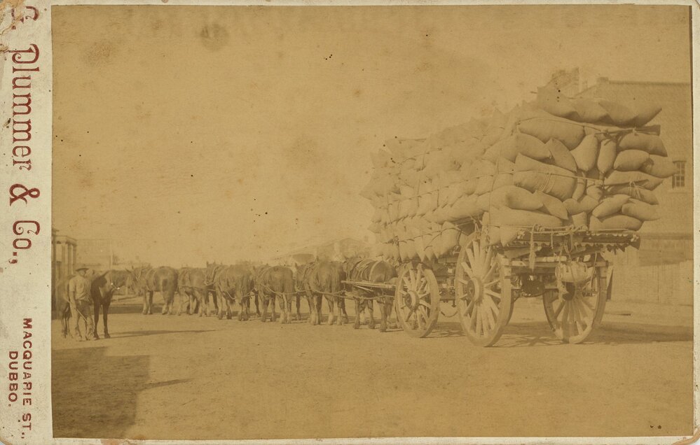 Team of Draught Horses, 1891