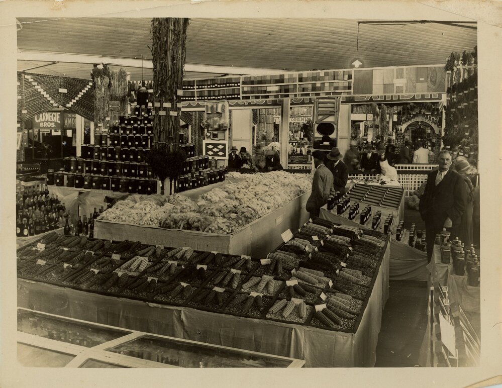 View of District Exhibit Display, c.1920