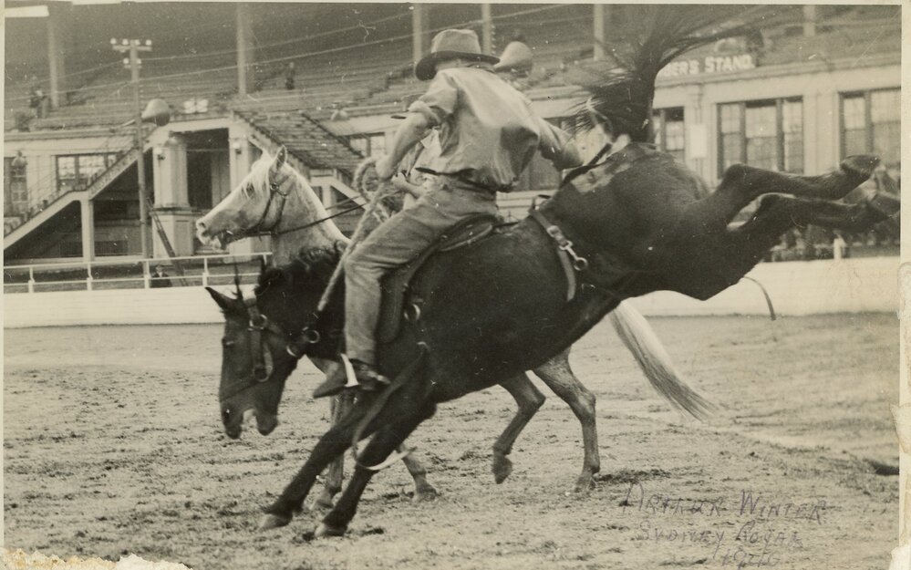 Arthur Winter Buckjumping at the Show, 1940
