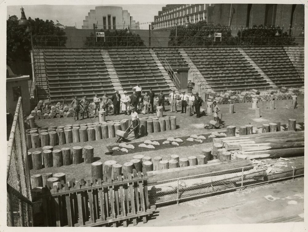 Woodchopping Arena at Moore Park, 1951