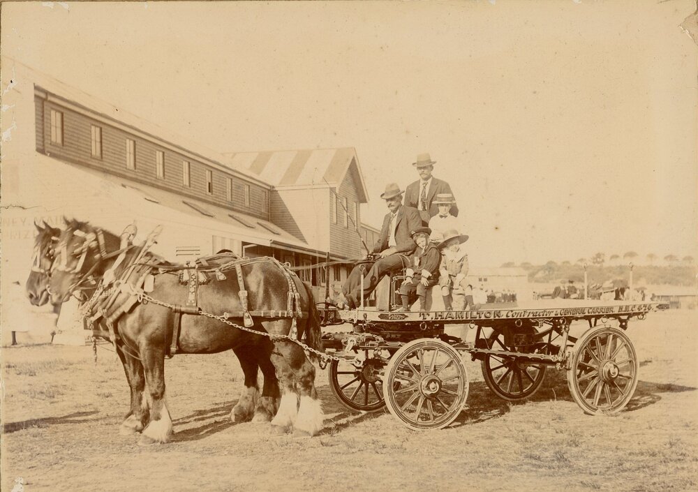 Prize Winning Horses and Dray, 1901