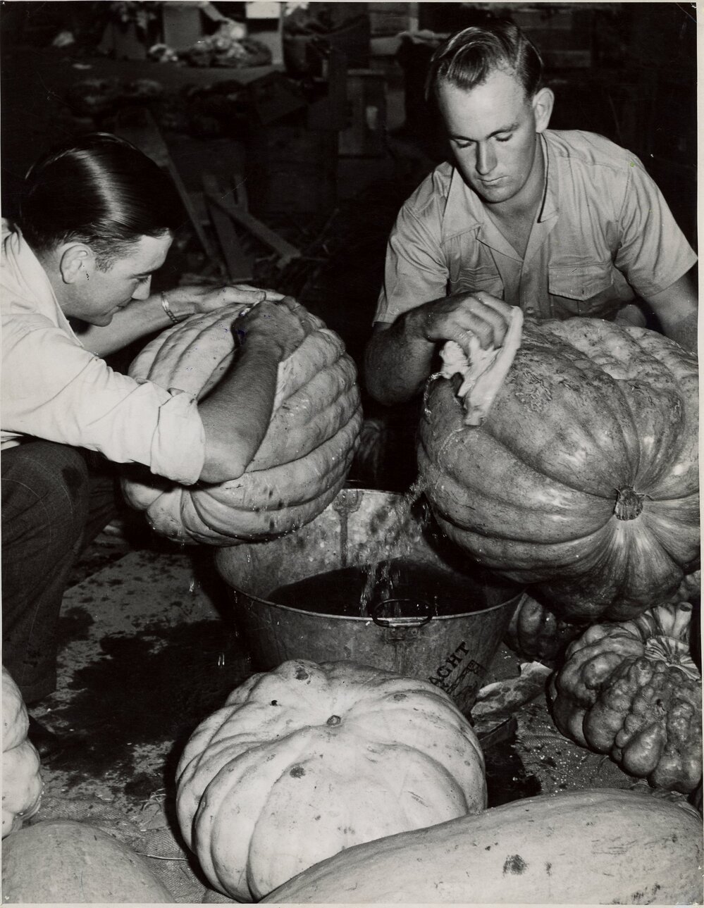 Washing Pumpkins, c.1950