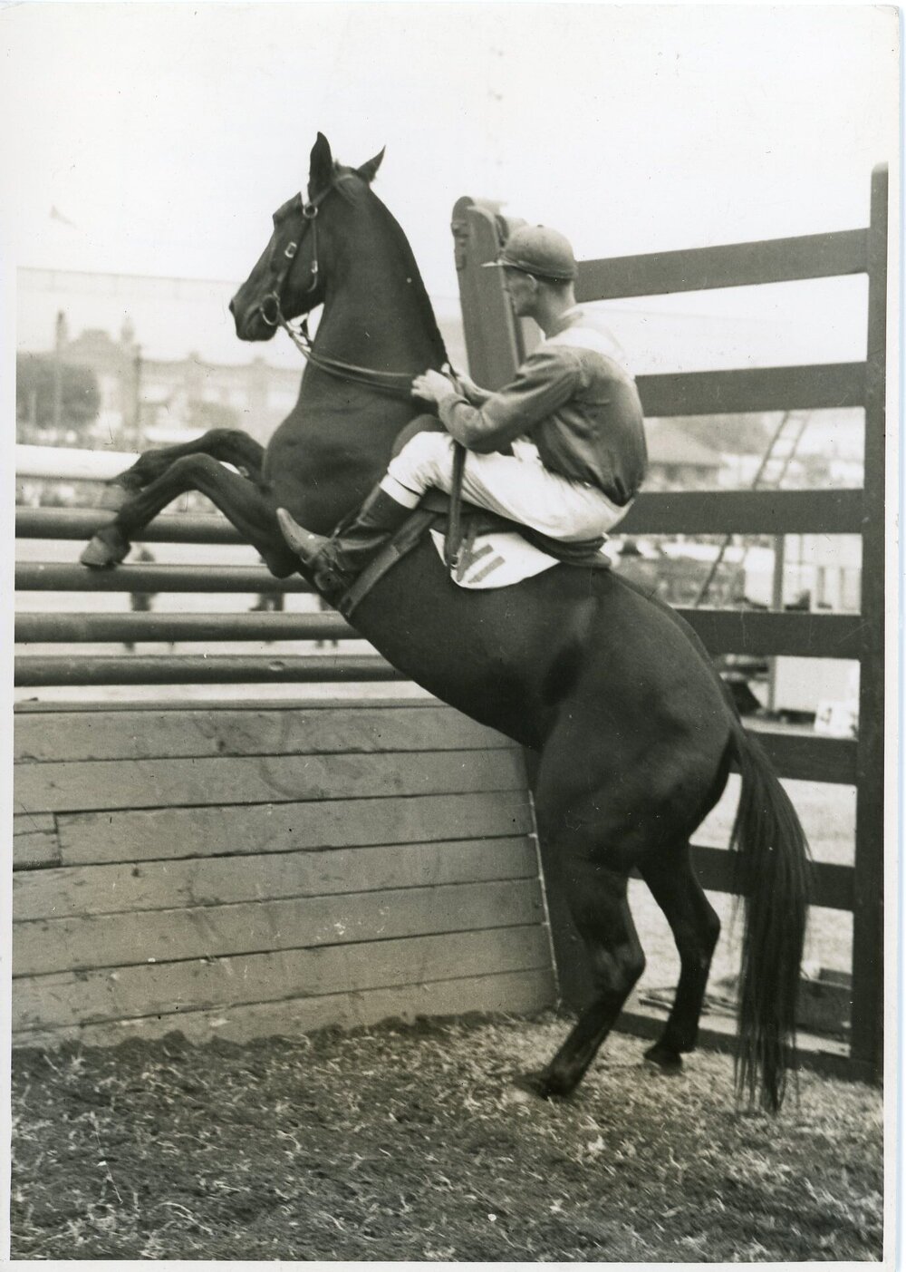 Horse and Rider Attempting Jump, 1941