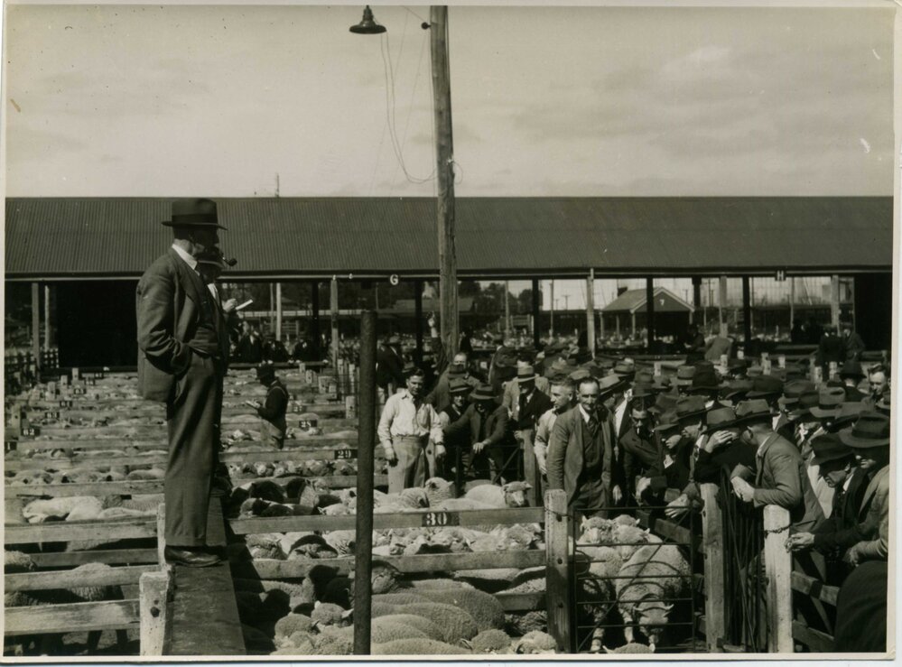 Sheep Sales at Homebush