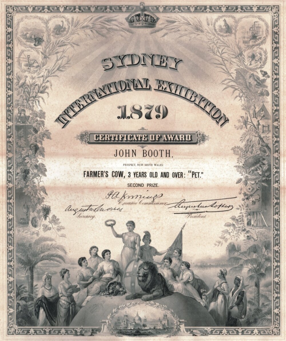 Certificate: Sydney International Exhibition Awarded to John Booth for Farmer's Cow 1879