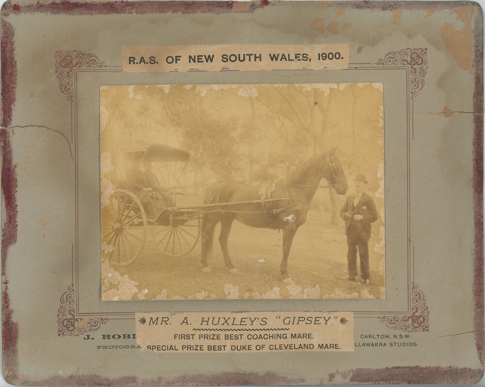 'Gipsey' Mare, c.1900