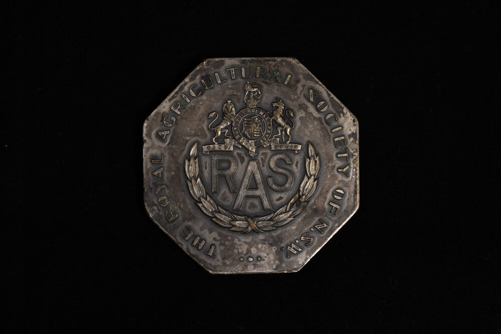 Medallion Awarded to Wilson for Champion Pure Bred Steer, 1950