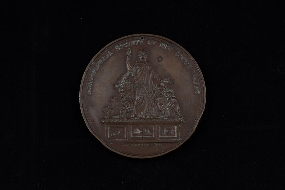 Medallion Awarded to D McCall for Saddlery, 1873