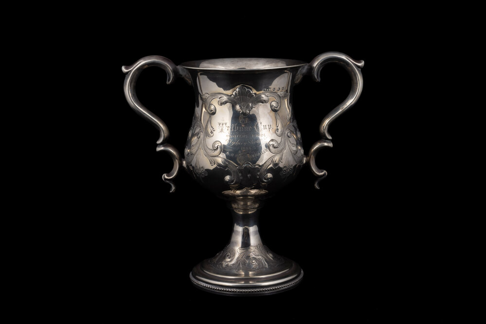 Agricultural Society of NSW 'Tribune Cup', 1884
