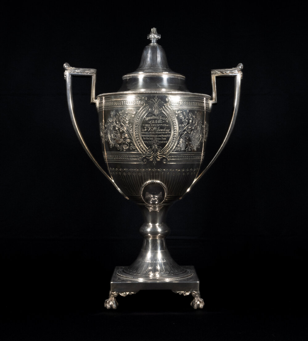 Agricultural Society of NSW Special Prize for Best Merino Ram, 1886