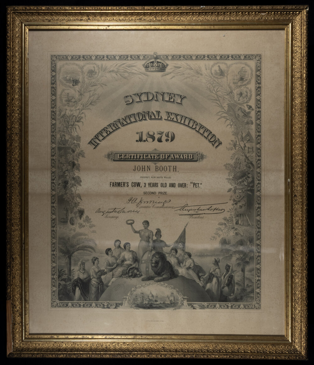 Certificate Awarded to John Booth for Farmer's Cow, 1879