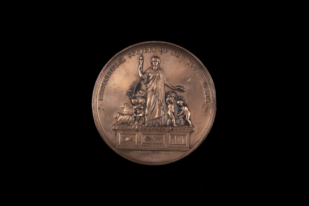 Medallion Awarded to Matthew Devlin for Best Durham Bull, 1879