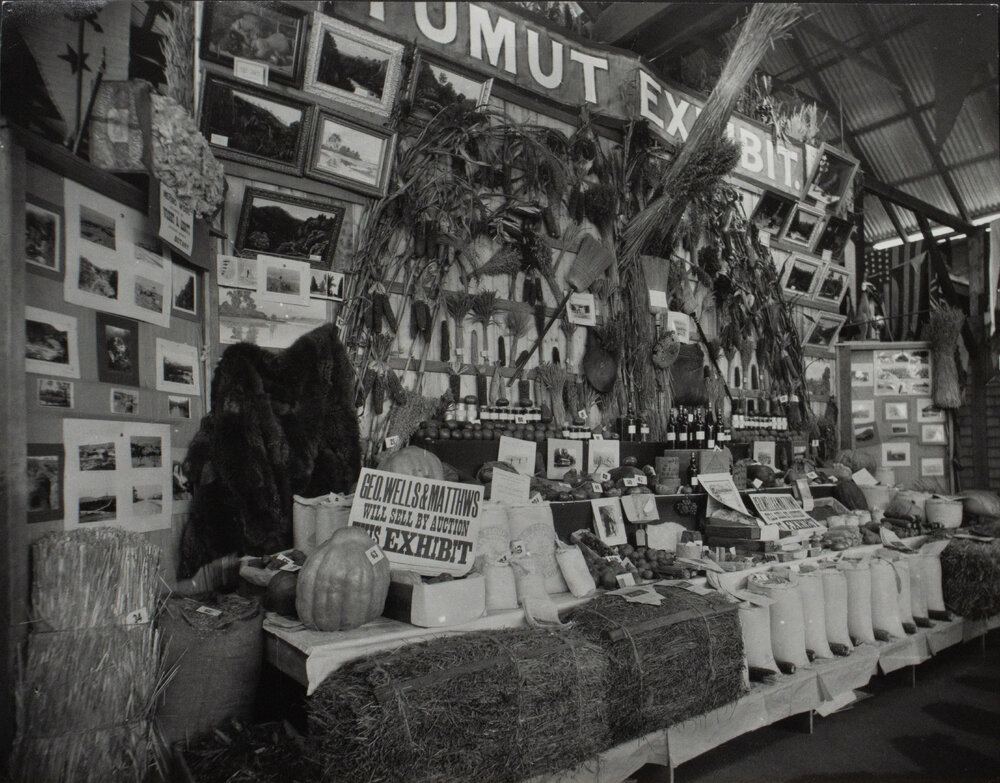 Tumut Agricultural Exhibit, 1900