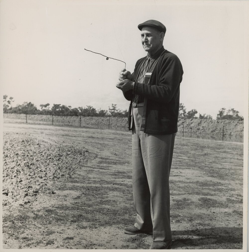 Water Diviner, c.1950