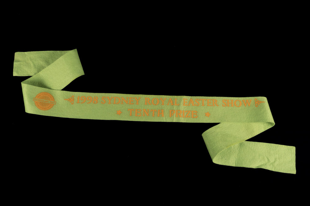 Tenth Prize Ribbon, 1998
