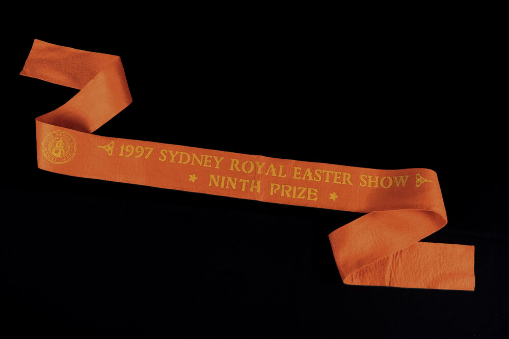 Ninth Prize Ribbon, 1997