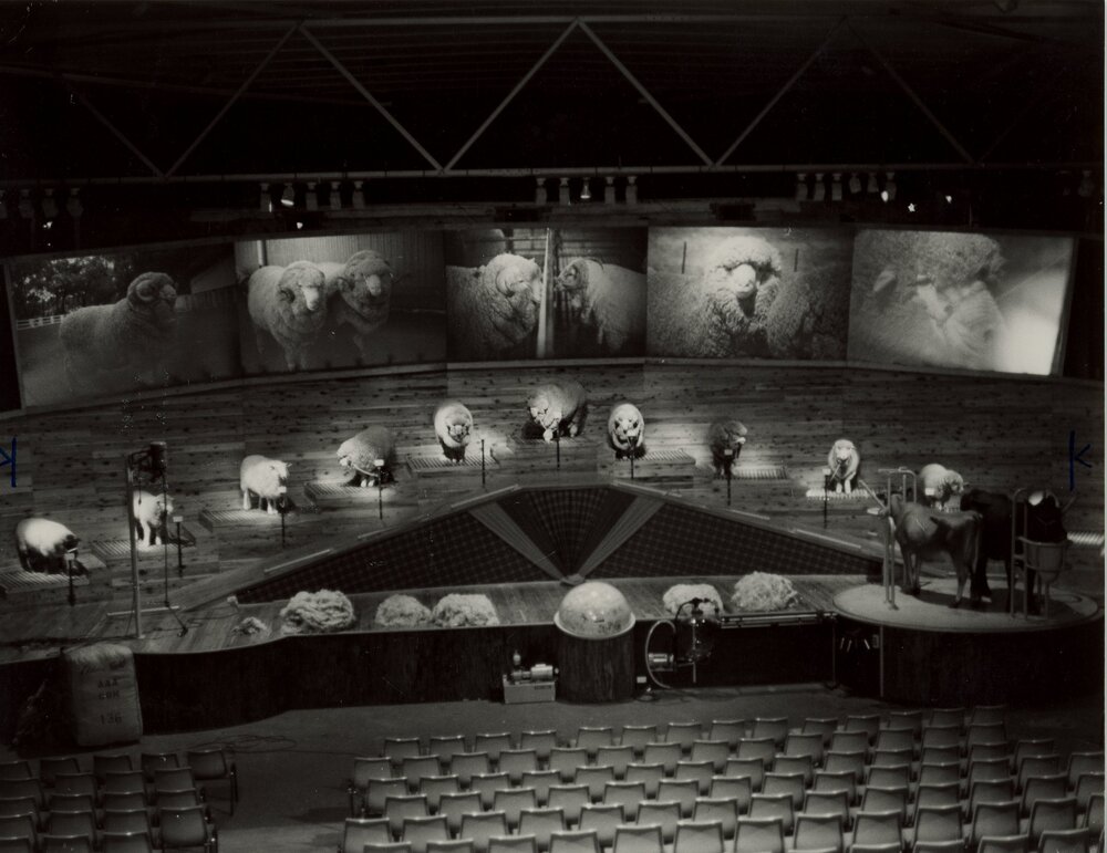 Agrodome Moore Park, 1981
