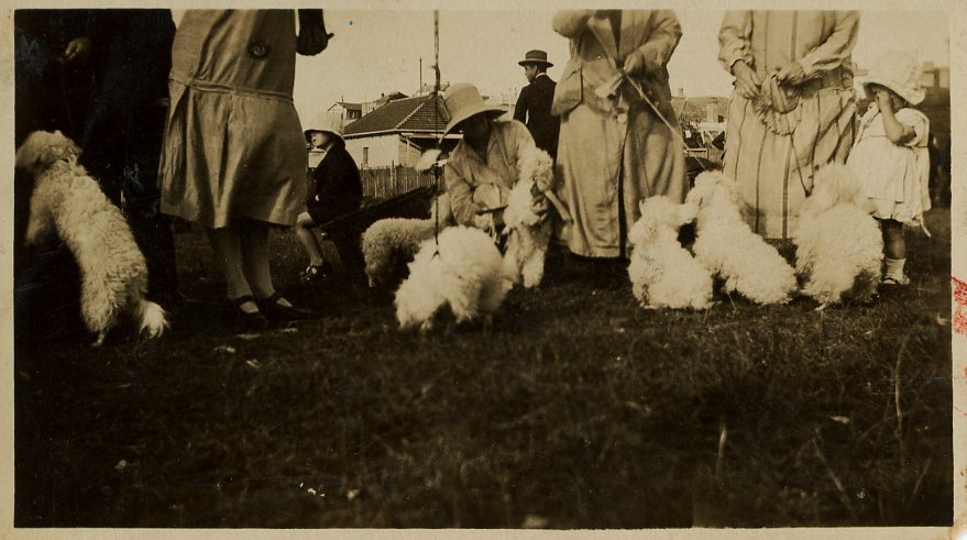 Women with Small Dogs, 1927