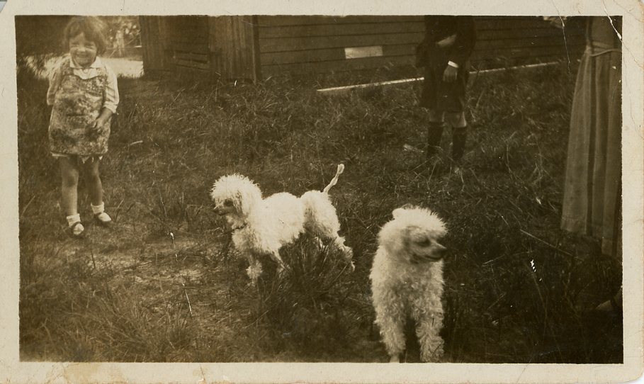Poodles, 1929