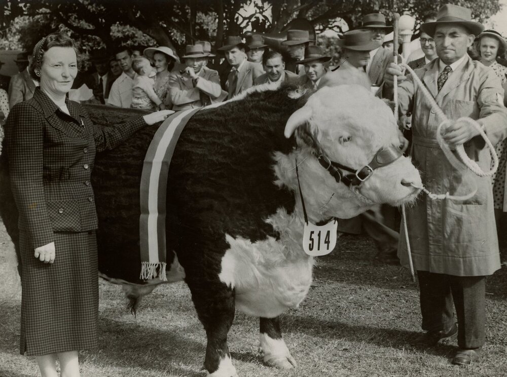 Mrs John E Rice with prize Hereford RES, 1954