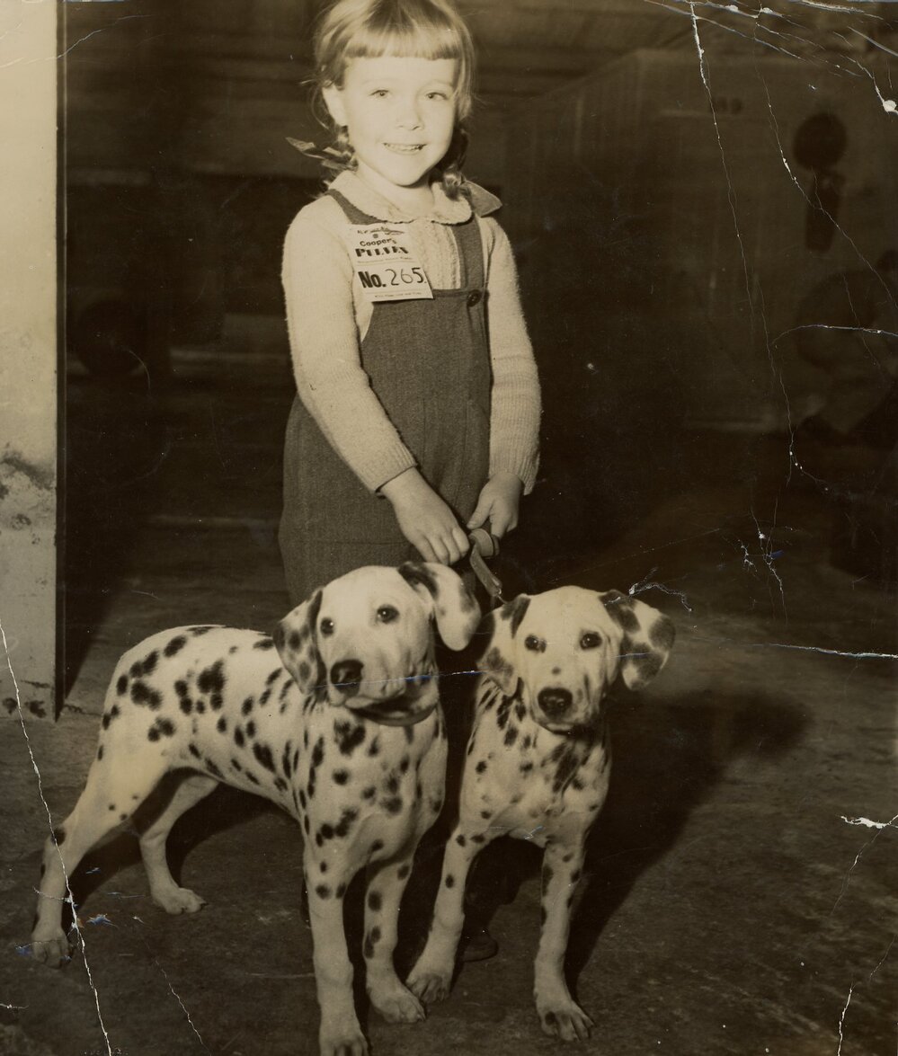 Kerry Johnston with Dalmatian puppies, 1949