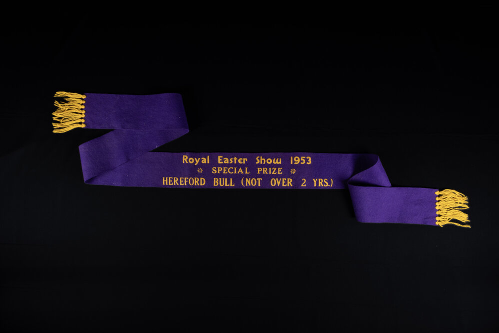 Special Prize Ribbon, 1953