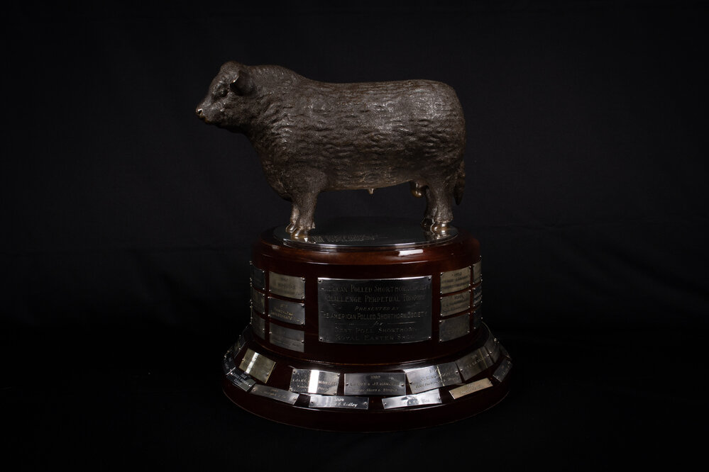 American Polled Shorthorn Society Challenge Perpetual Trophy