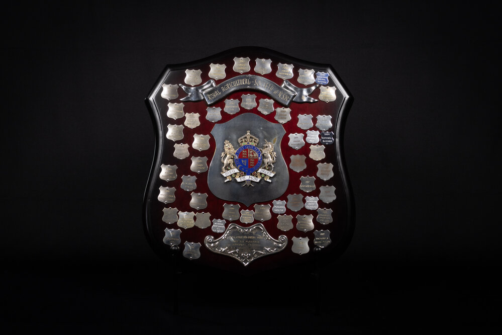 E S Playfair Memorial Shield Perpetual Trophy