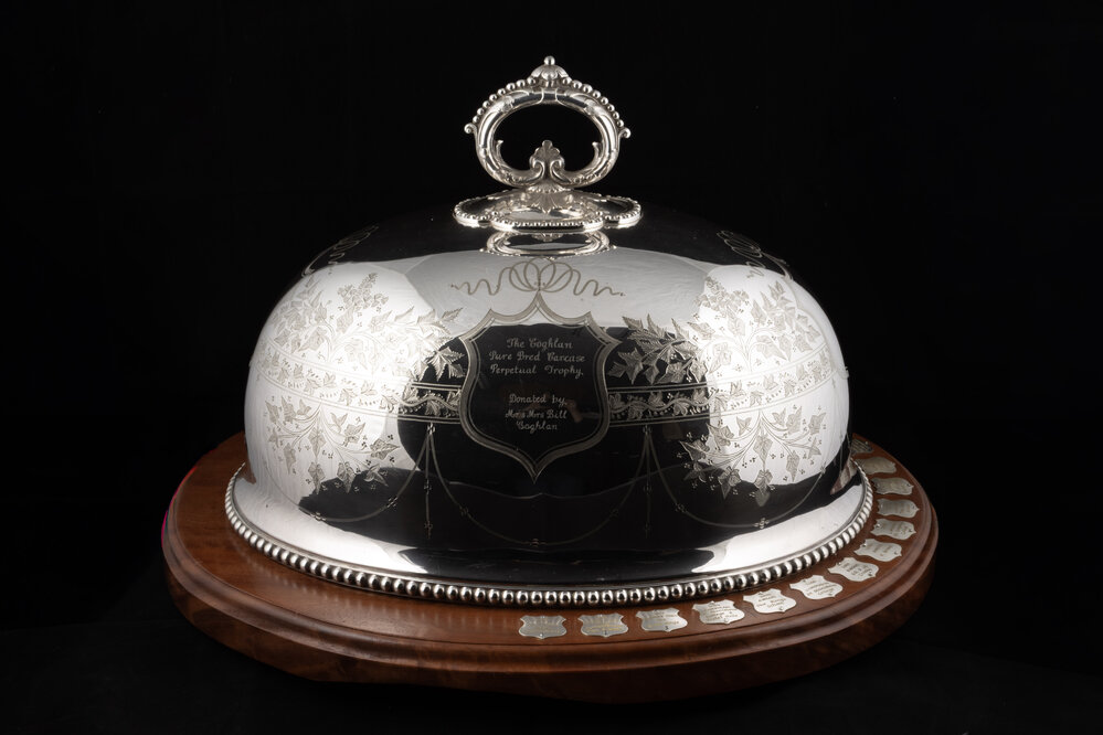 Coghlan Pure Bred Carcase Perpetual Trophy