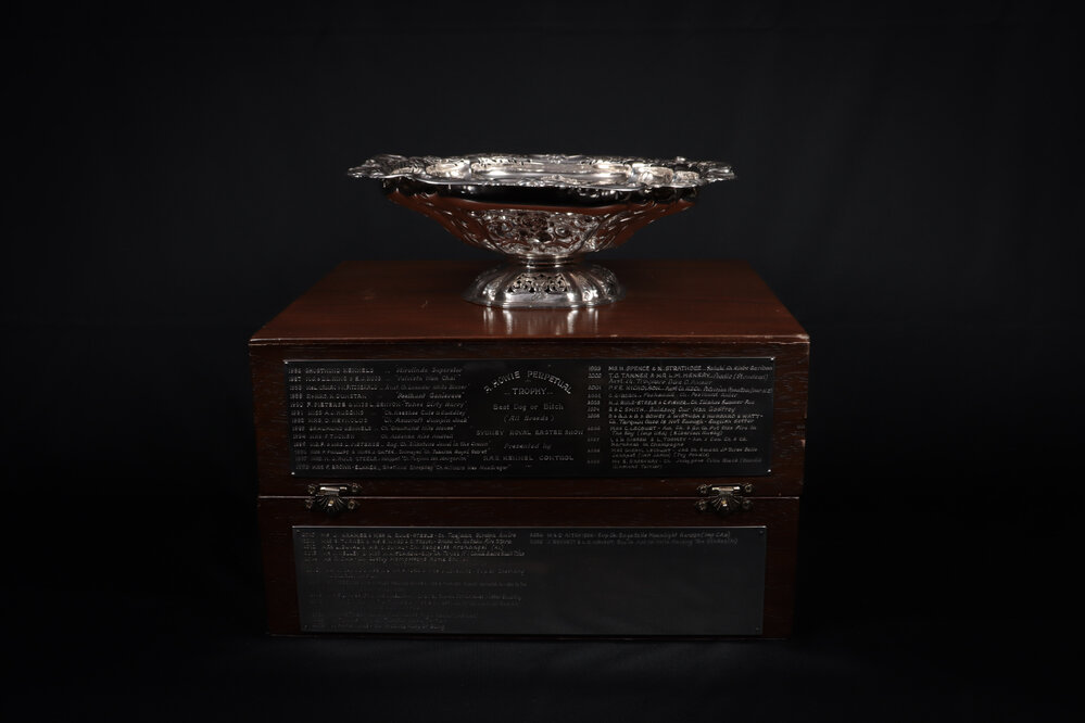 A Howie Perpetual Trophy