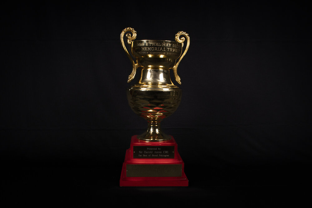 Mrs Ethel May George Memorial Perpetual Trophy 'Willastone Kennels'