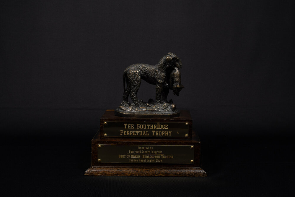 Southridge Perpetual Trophy