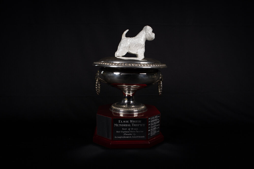 Elsie White Memorial Perpetual Trophy