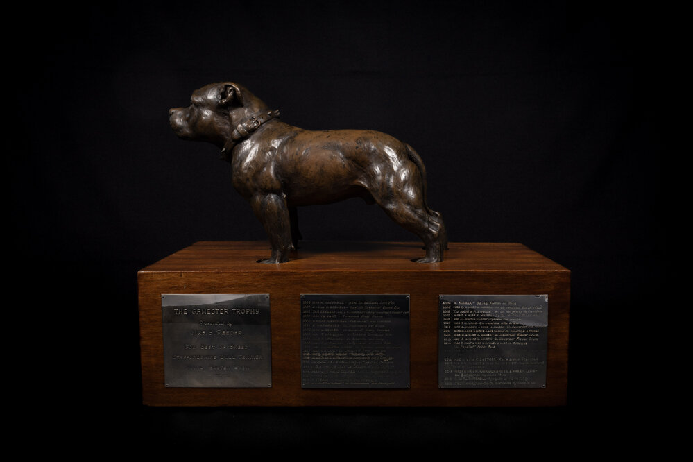 Gamester Staffordshire Bull Terrier Perpetual Trophy
