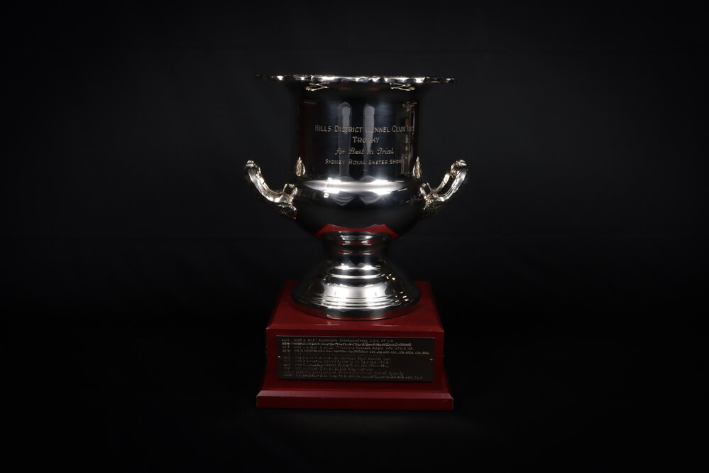 Hills District Kennel Club Perpetual Trophy