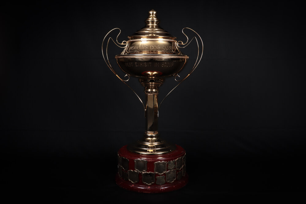Working Dog Club of NSW Perpetual Trophy