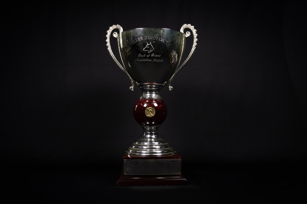 Jean Walker Memorial Perpetual Trophy