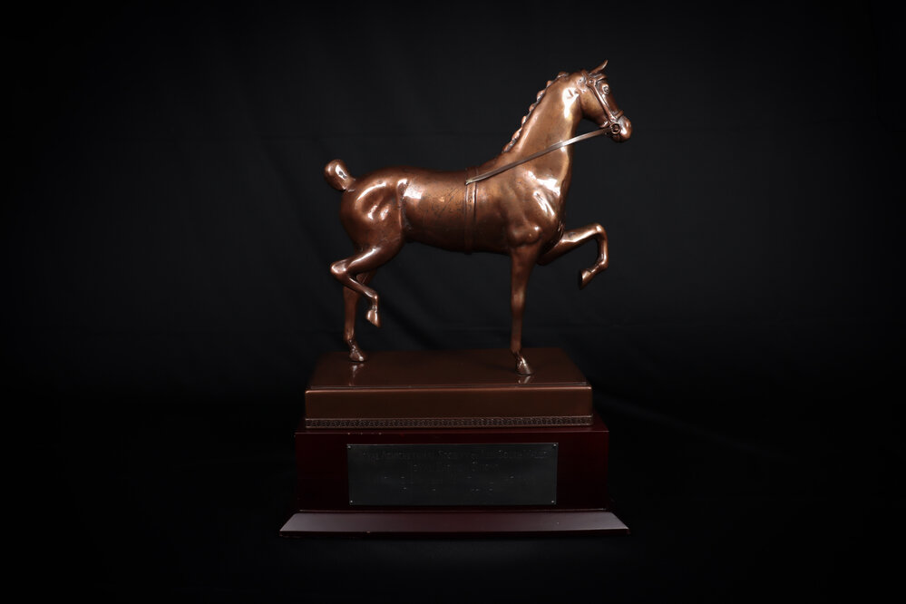 Thomas Dwyer Memorial Perpetual Trophy