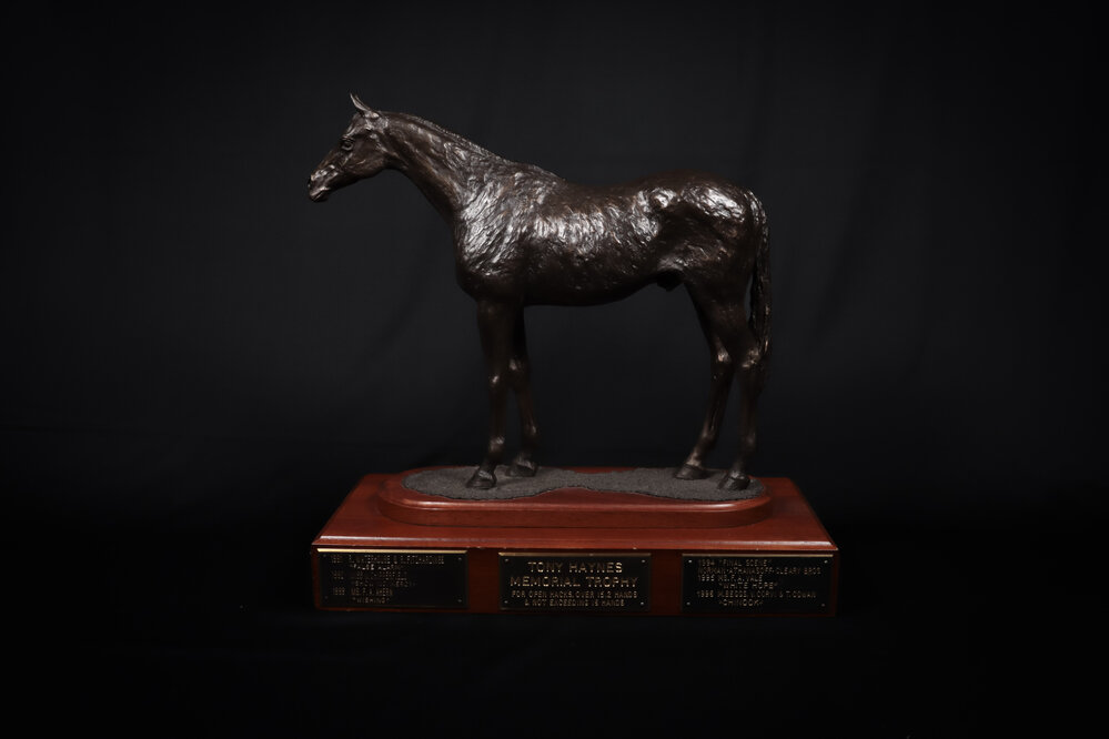 Tony Haynes Memorial Perpetual Trophy