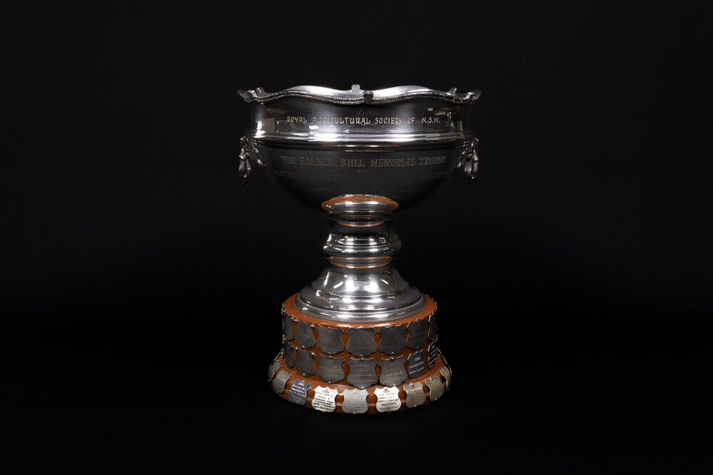 Mrs E.M.M.A. Bull Memorial Perpetual Trophy (Turnout)