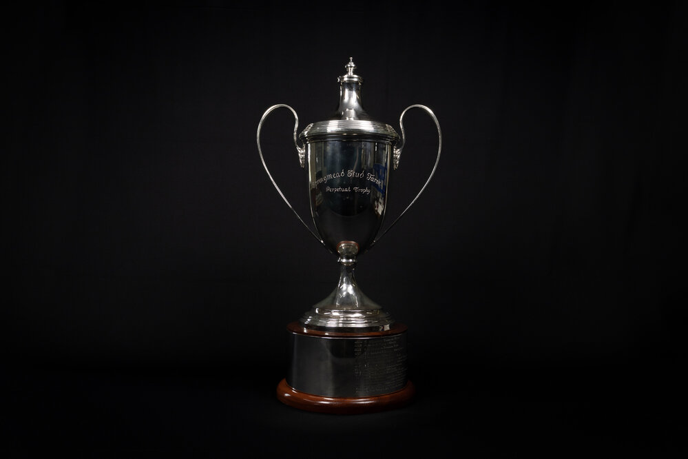 Springmead Stud Farm Perpetual Trophy