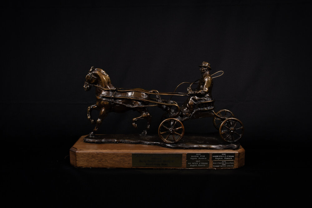 Allan Brown Perpetual Trophy