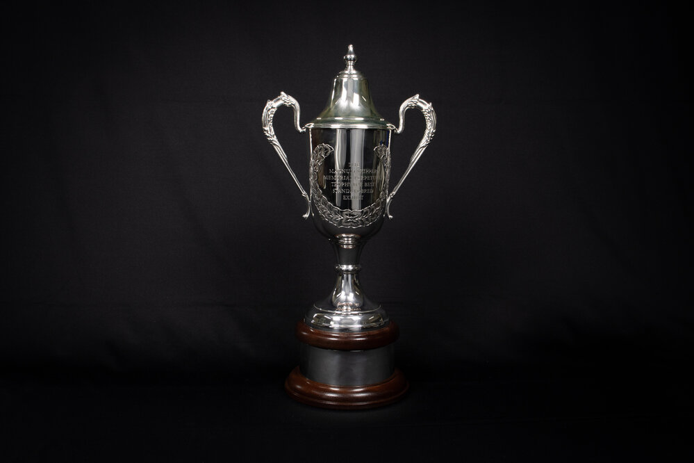 Magnum Skipper Memorial Perpetual Trophy