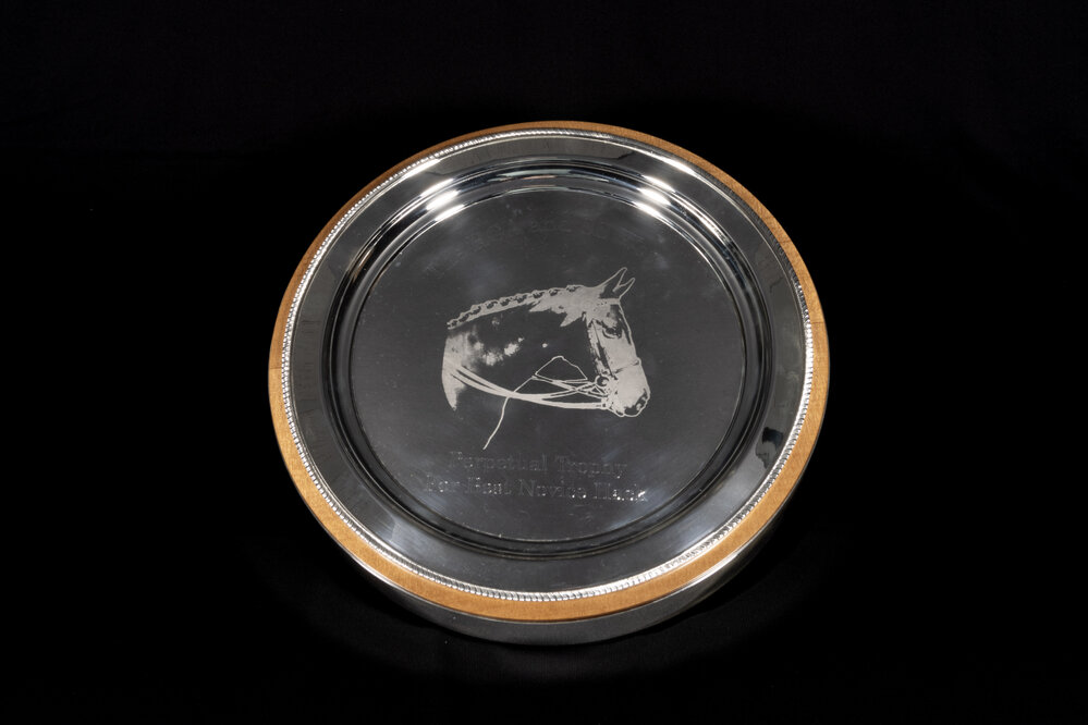 The RCA and SS Wotton Perpetual Trophy