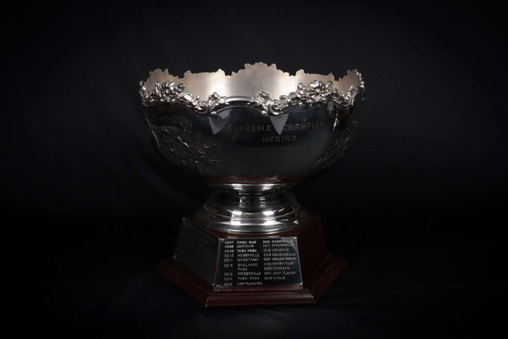 RAS of NSW Supreme Champion Merino Perpetual Trophy