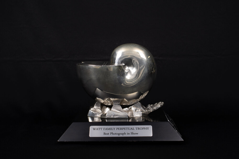 The Watt Family Perpetual Trophy